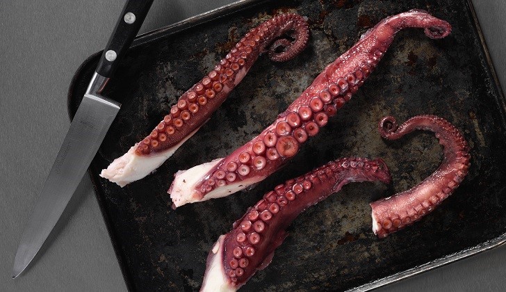 A Tale of Tentacles: Octopus & Squid