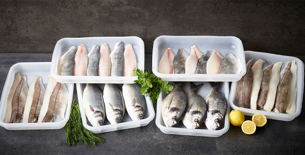 Hero Images 0000 Award Winning Fish Packaging